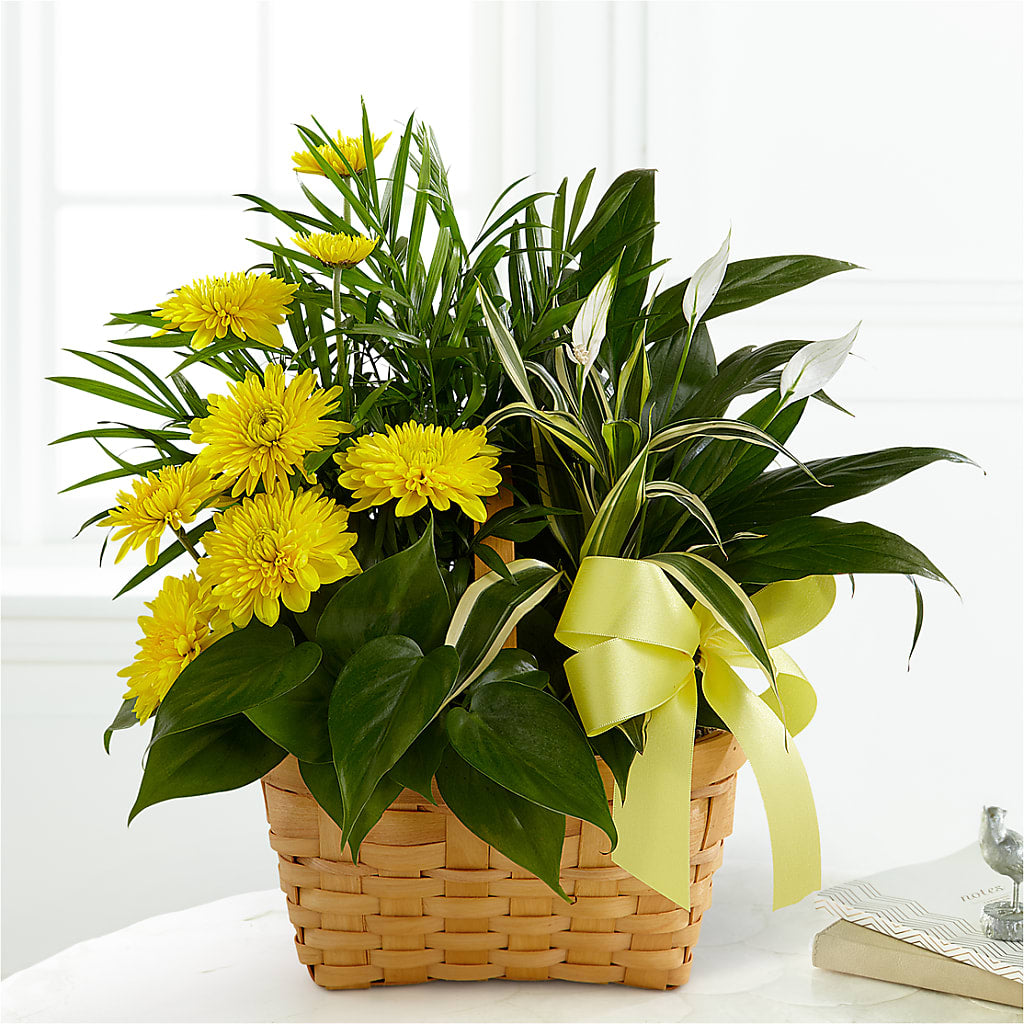 Loving Light Dishgarden – Royal Flower Shop, Toms River NJ
