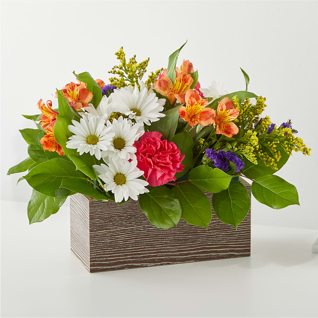 Oopsie Daisy Box Bouquet – Royal Flower Shop, Toms River NJ