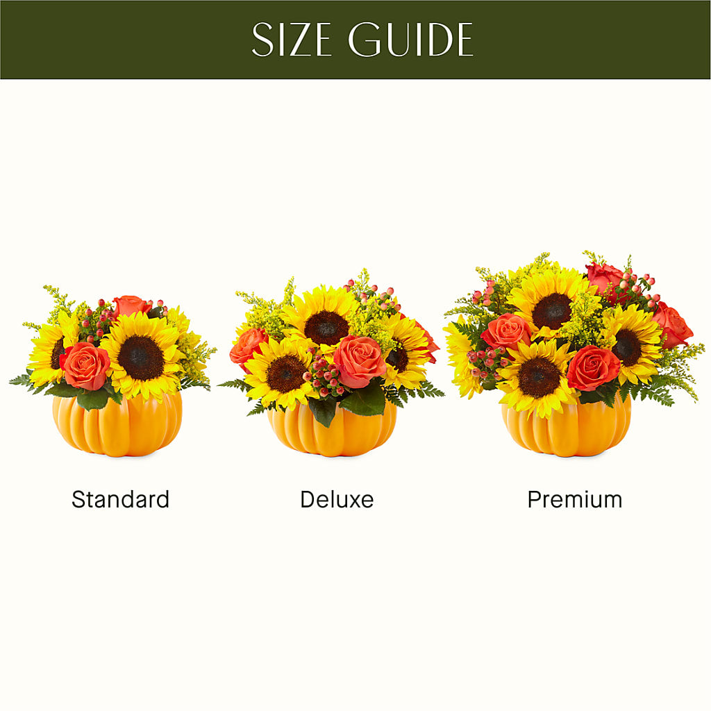 Pick of the Patch Pumpkin Bouquet – Royal Flower Shop, Toms River NJ