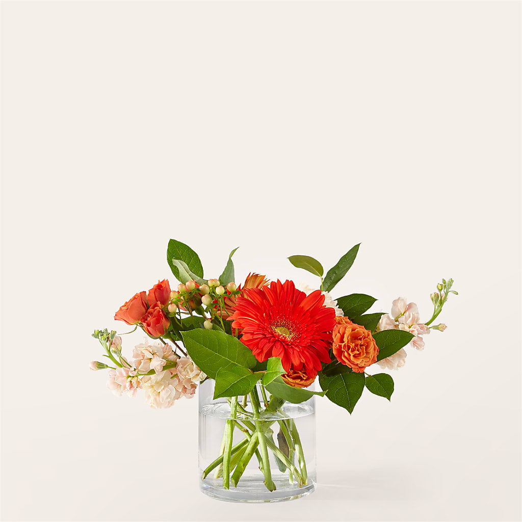 Paloma Please Bouquet – Royal Flower Shop, Toms River NJ