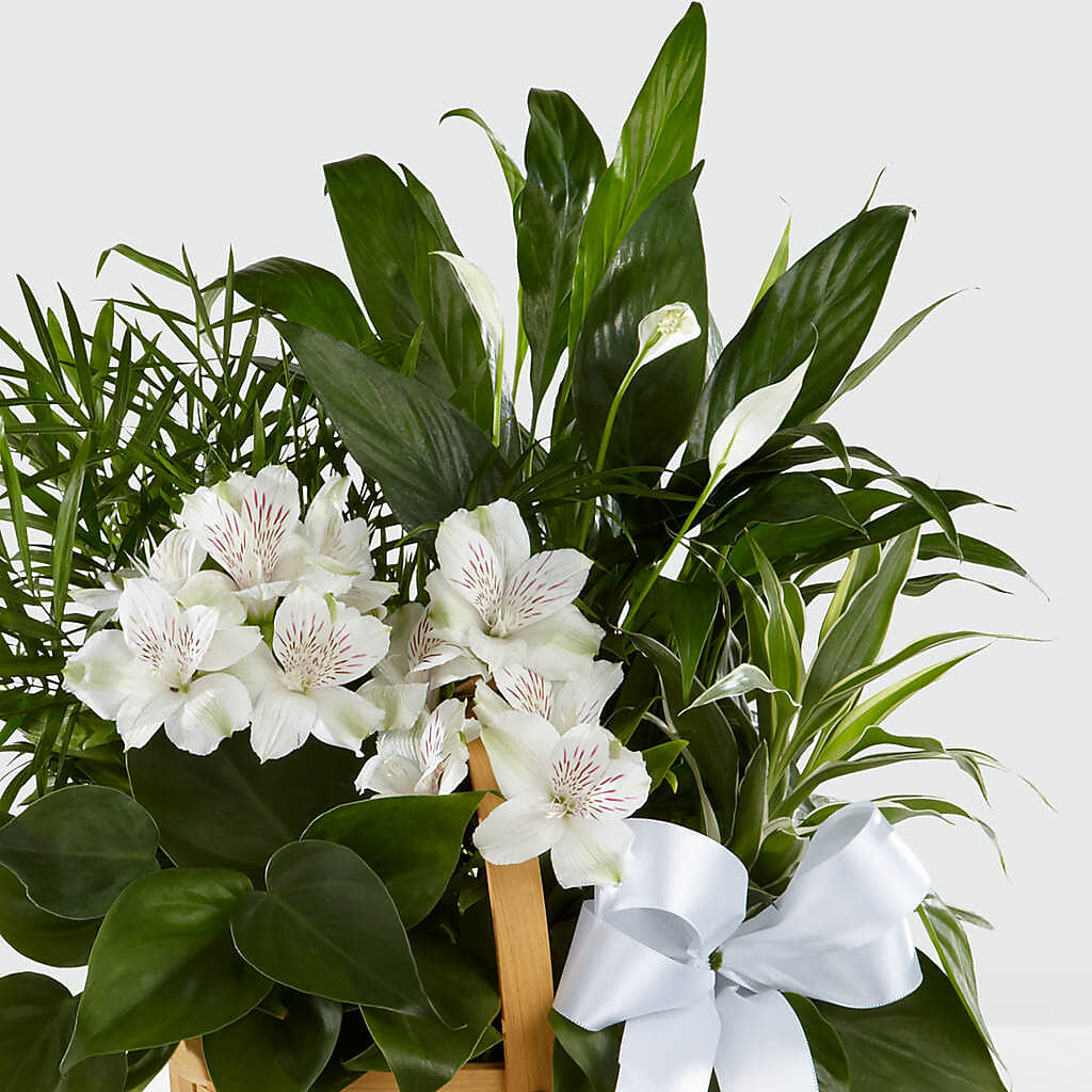 Peace & Serenity Dishgarden –  Royal Flower Shop, Toms River NJ