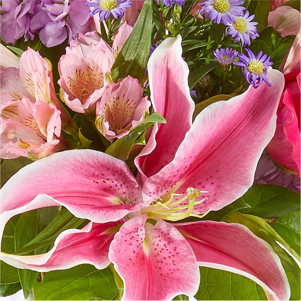 Written in the Stars Bouquet –  Royal Flower Shop, Toms River NJ
