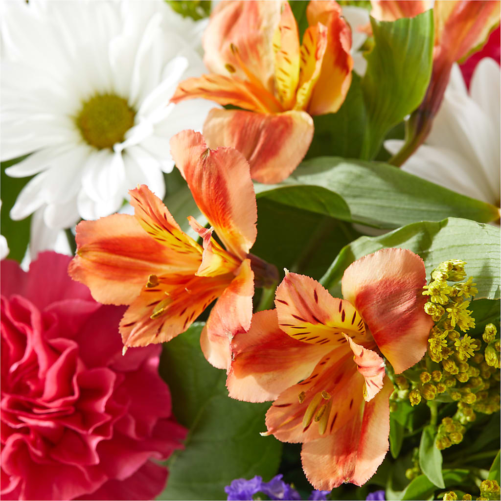 Oopsie Daisy Box Bouquet –  Royal Flower Shop, Toms River NJ