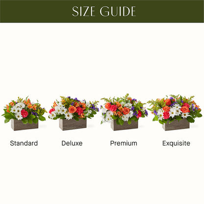 Oopsie Daisy Box Bouquet –  Royal Flower Shop, Toms River NJ