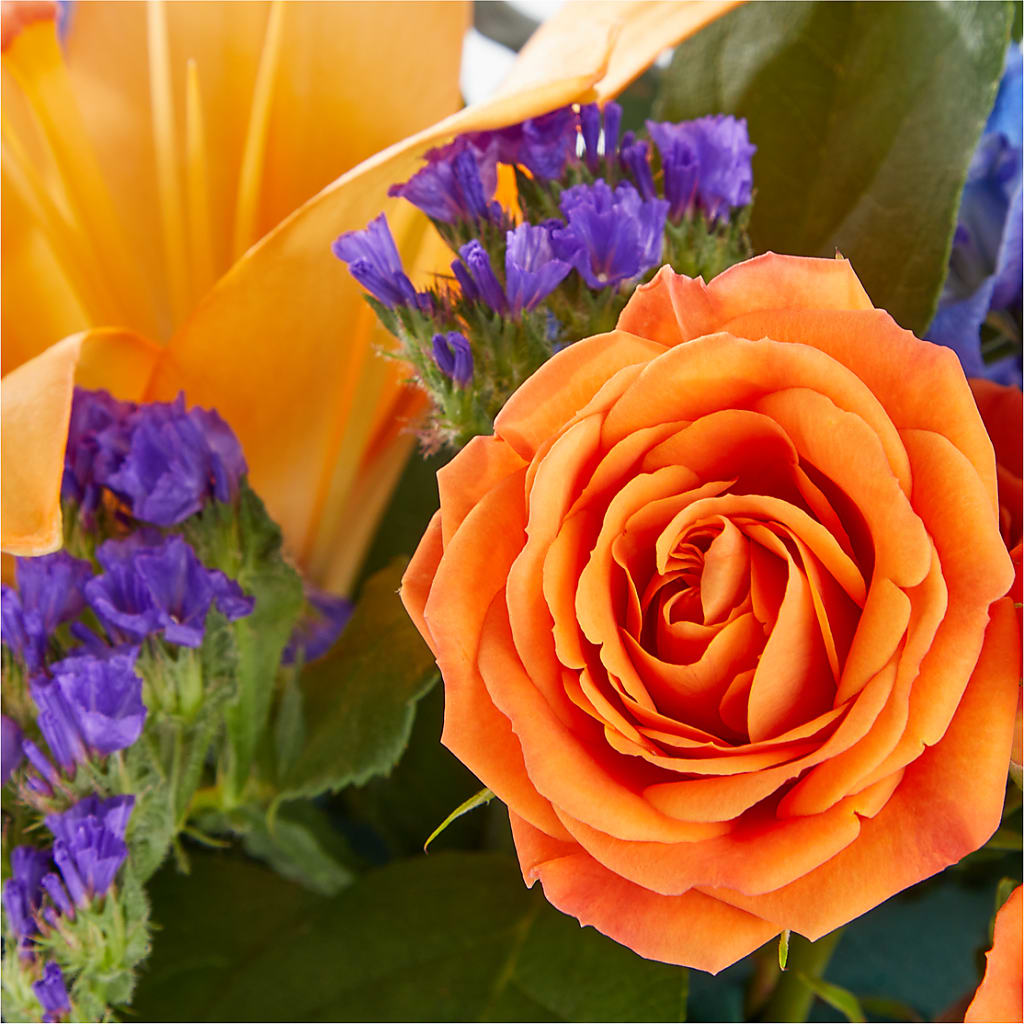 Radiant Citrus Box Bouquet –  Royal Flower Shop, Toms River NJ