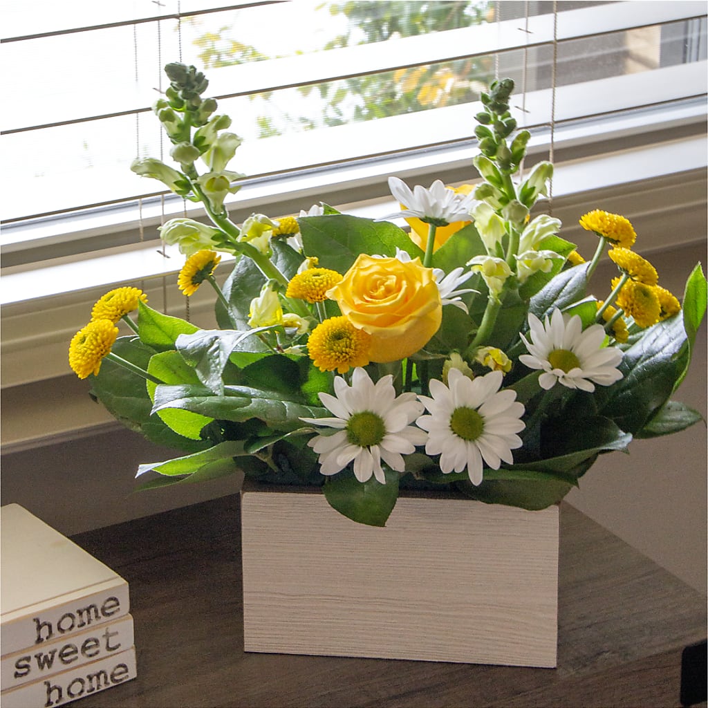 Sun Salutation Box Bouquet –  Royal Flower Shop, Toms River NJ
