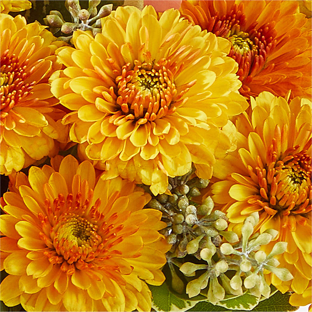 Peachy Pumpkin –  Royal Flower Shop, Toms River NJ