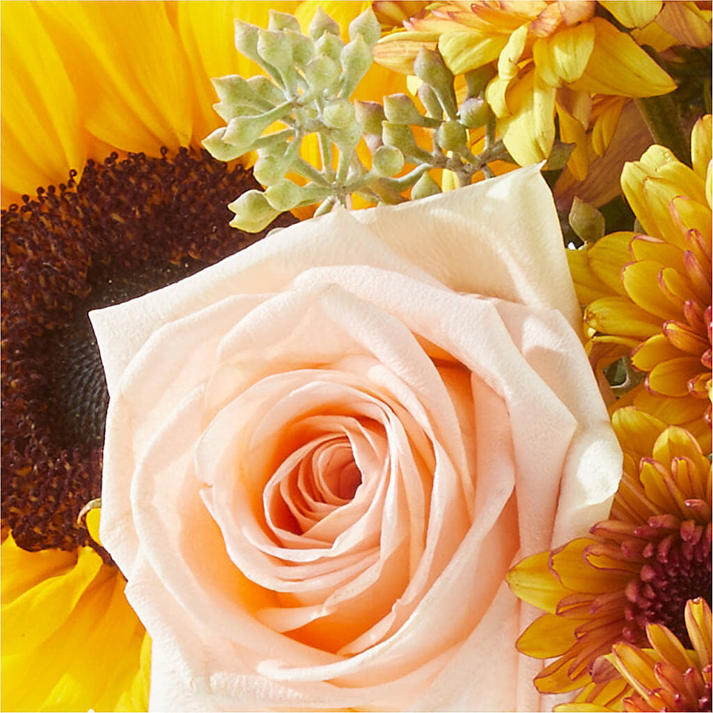 Pumpkin to Talk About Bouquet –  Royal Flower Shop, Toms River NJ