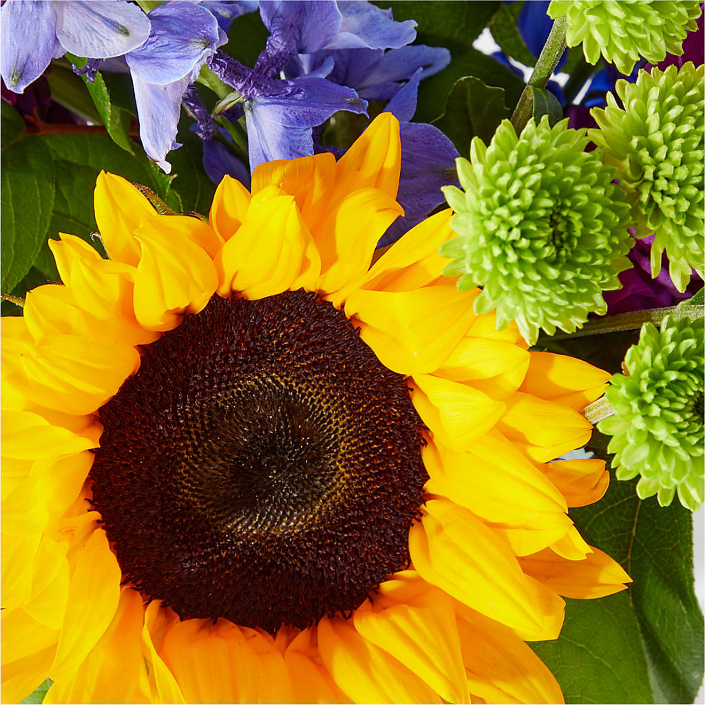 Catching Rays Bouquet –  Royal Flower Shop, Toms River NJ