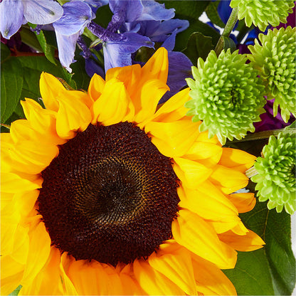 Catching Rays Bouquet –  Royal Flower Shop, Toms River NJ