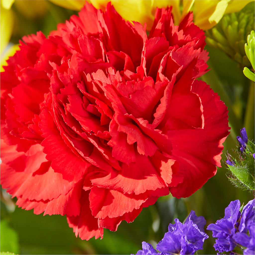Brighter Days Bouquet –  Royal Flower Shop, Toms River NJ