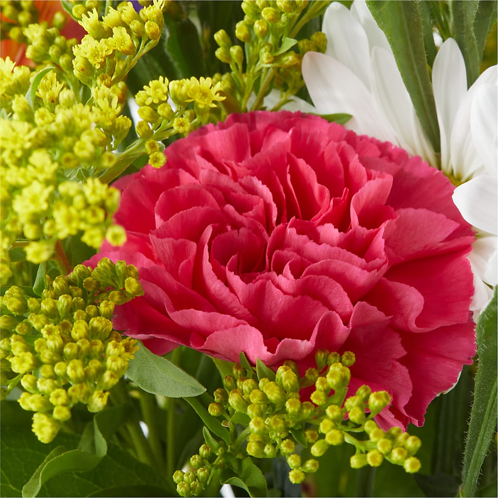Oopsie Daisy Bouquet –  Royal Flower Shop, Toms River NJ