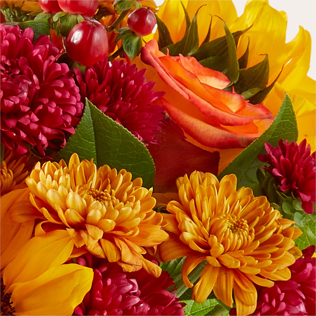 Sweater Season - A Florist Original –  Royal Flower Shop, Toms River NJ