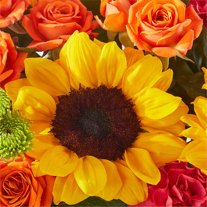 Sun-drenched Blooms Box Bouquet –  Royal Flower Shop, Toms River NJ