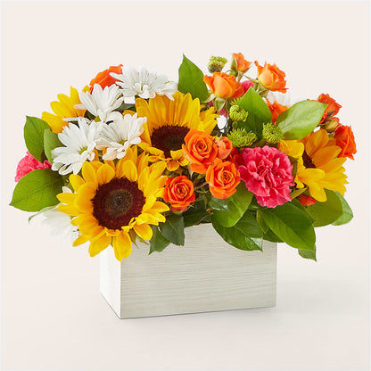 Sun-drenched Blooms Box Bouquet –  Royal Flower Shop, Toms River NJ