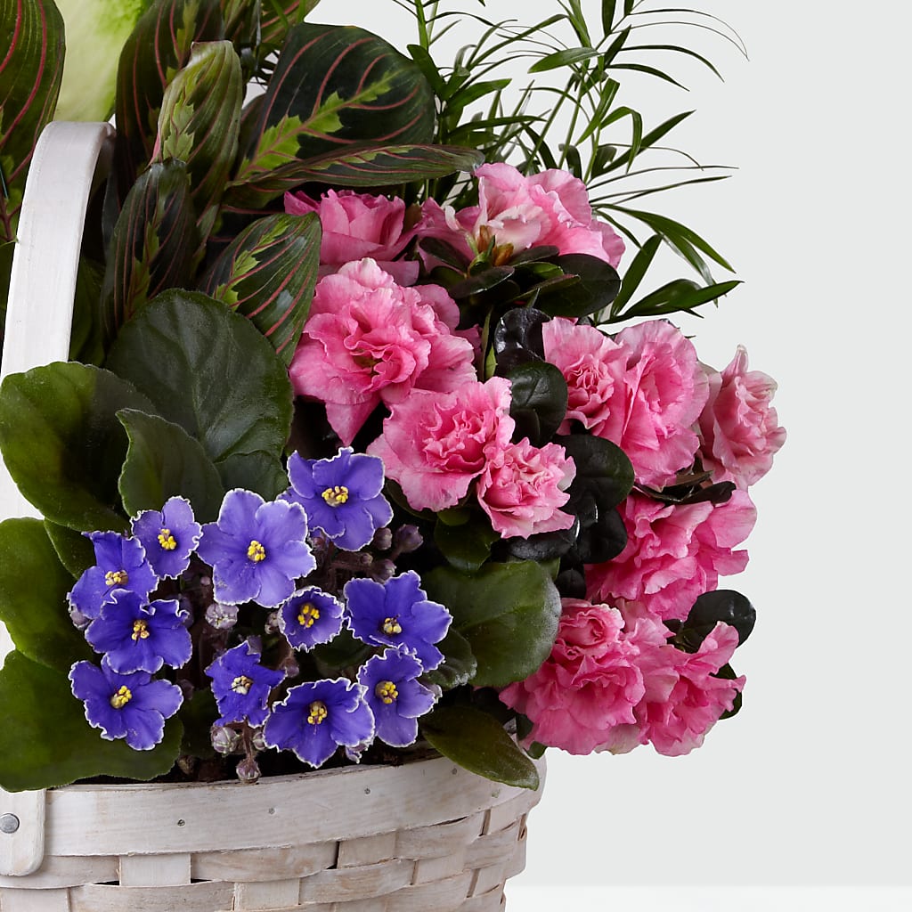 Peaceful Garden Planter –  Royal Flower Shop, Toms River NJ