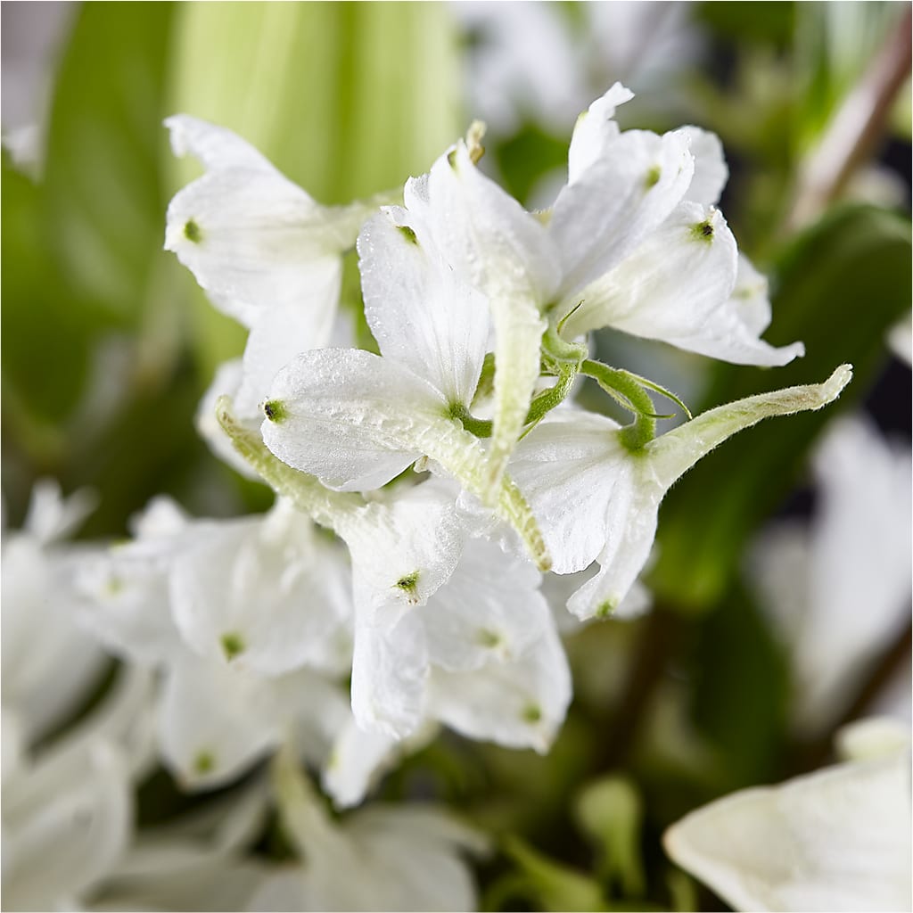 Classic Ivory – A Florist Original –  Royal Flower Shop, Toms River NJ