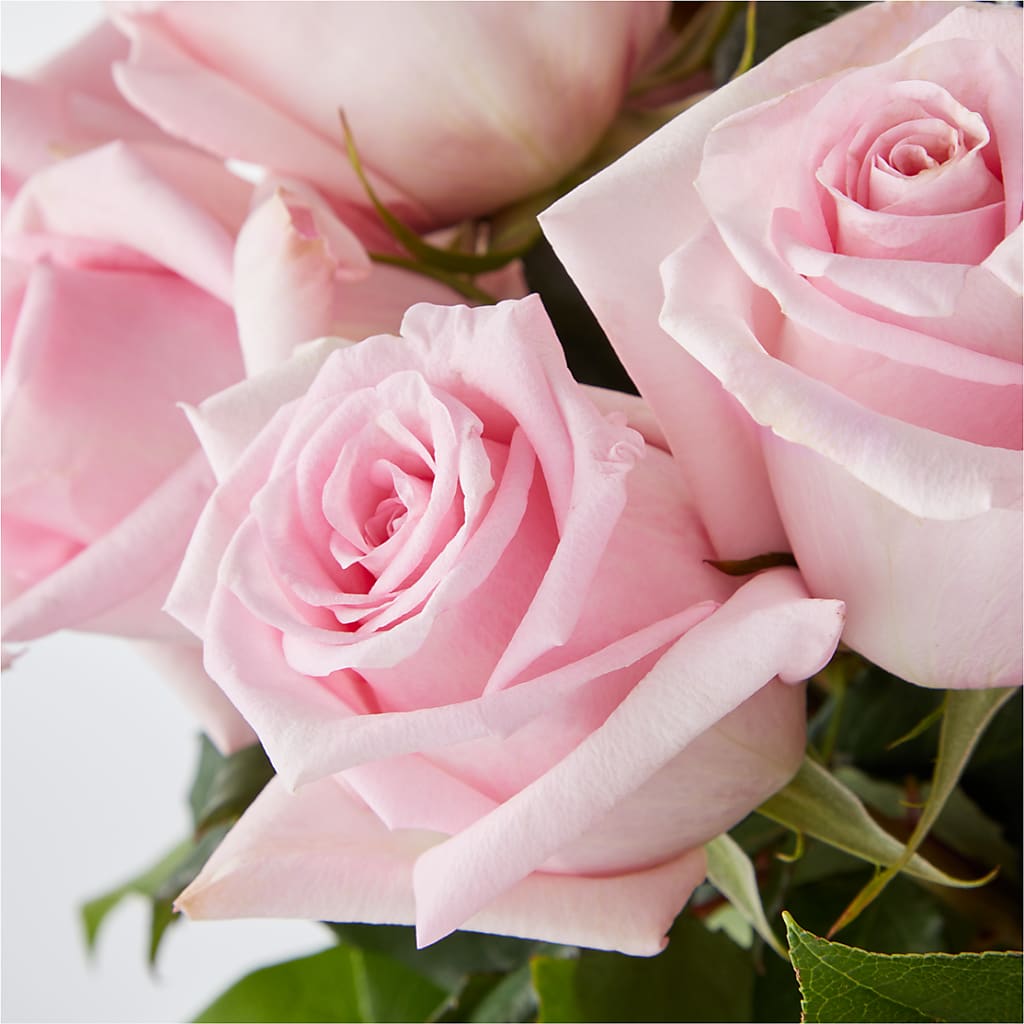 Picture Perfect Pink Rose Bouquet –  Royal Flower Shop, Toms River NJ