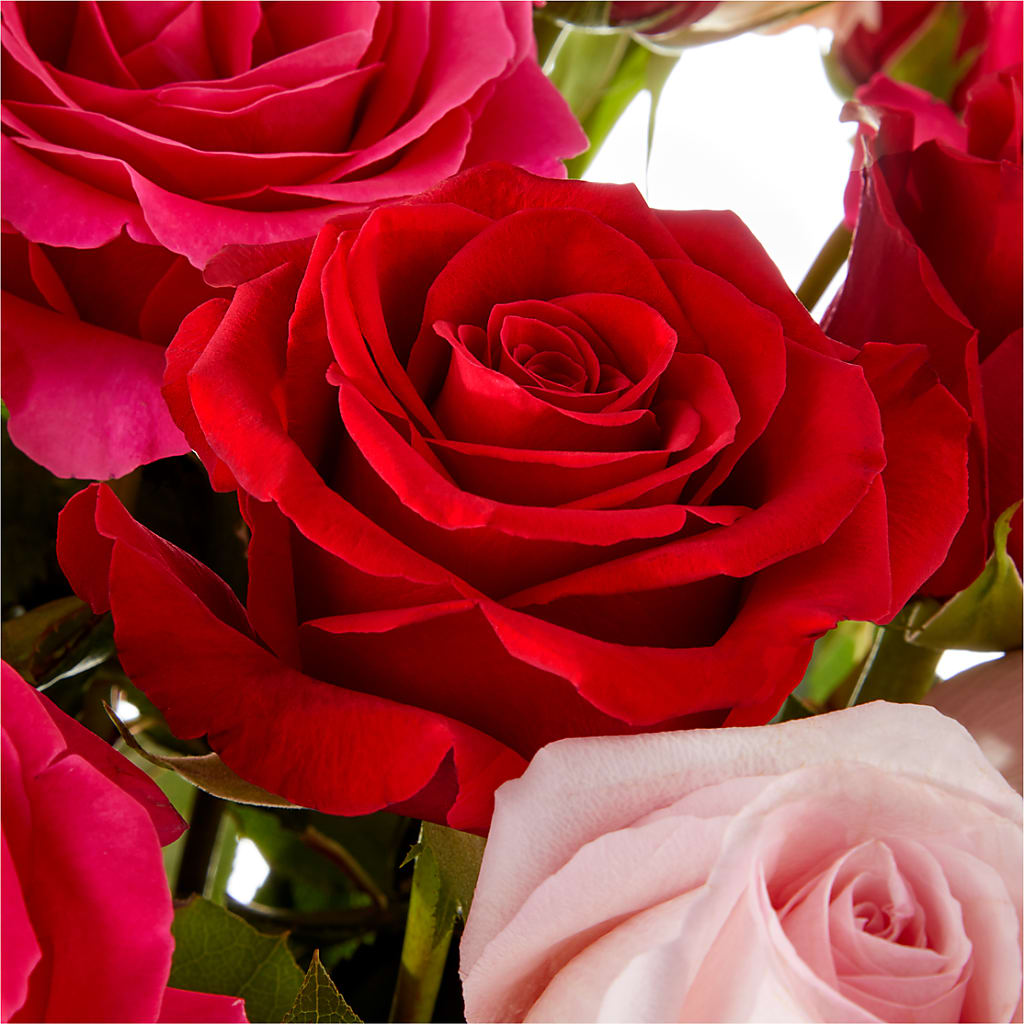 Love Notes Rose Bouquet –  Royal Flower Shop, Toms River NJ