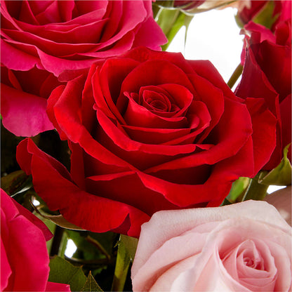 Love Notes Rose Bouquet –  Royal Flower Shop, Toms River NJ