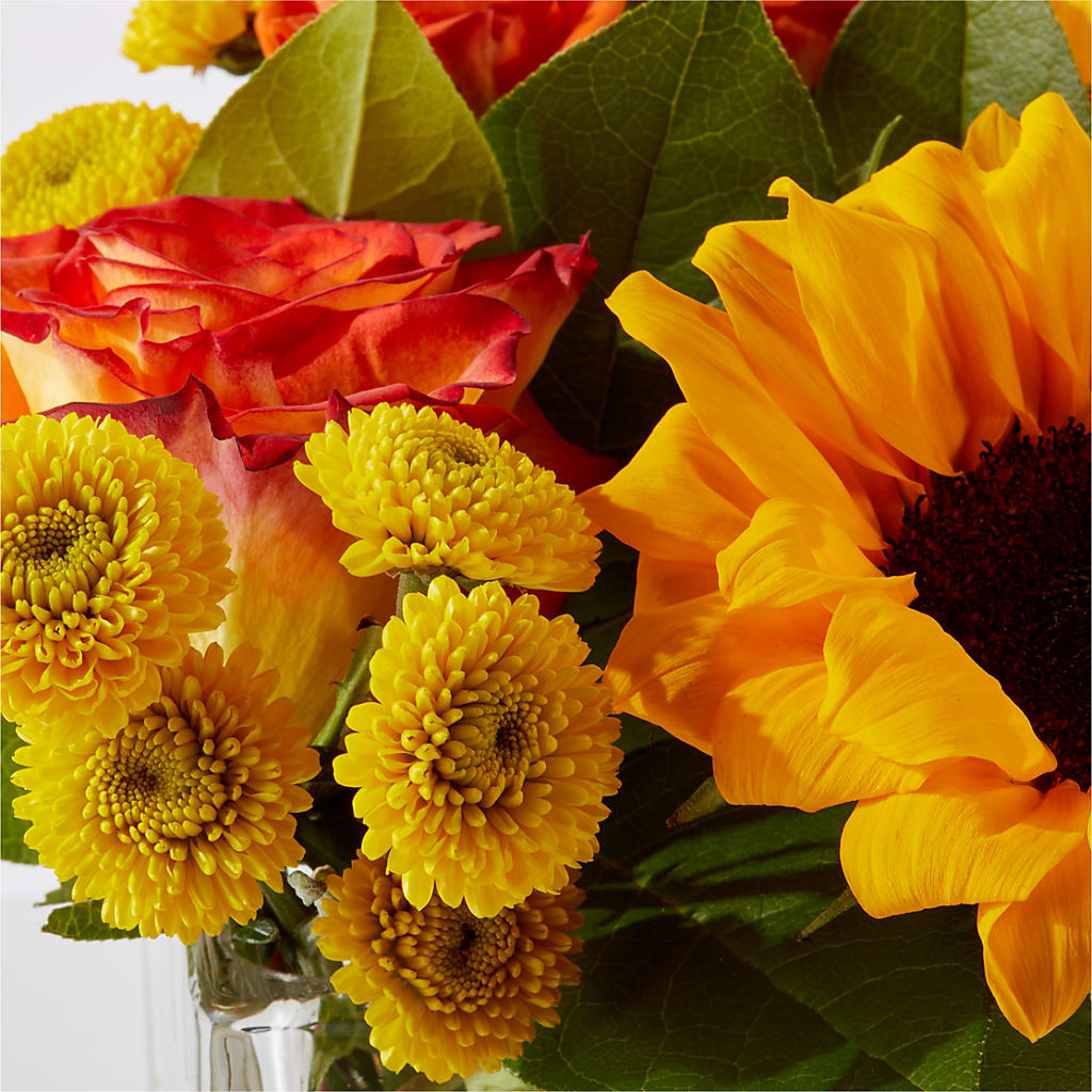 Picnic in the Park Bouquet –  Royal Flower Shop, Toms River NJ