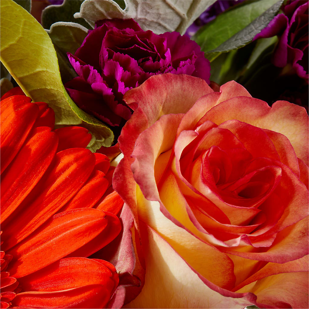 Sangria Bouquet –  Royal Flower Shop, Toms River NJ