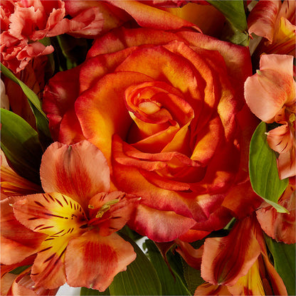 Apricot Glow Bouquet –  Royal Flower Shop, Toms River NJ