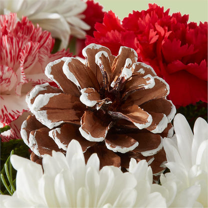 Candy Cane Lane Bouquet –  Royal Flower Shop, Toms River NJ