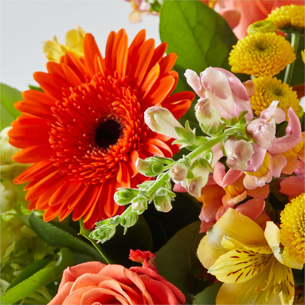 Autumn Sunshine Bouquet –  Royal Flower Shop, Toms River NJ