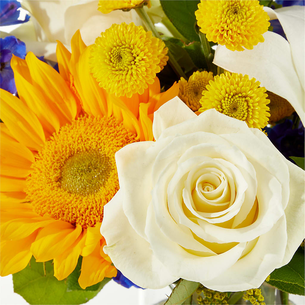 Stargazing Bouquet –  Royal Flower Shop, Toms River NJ