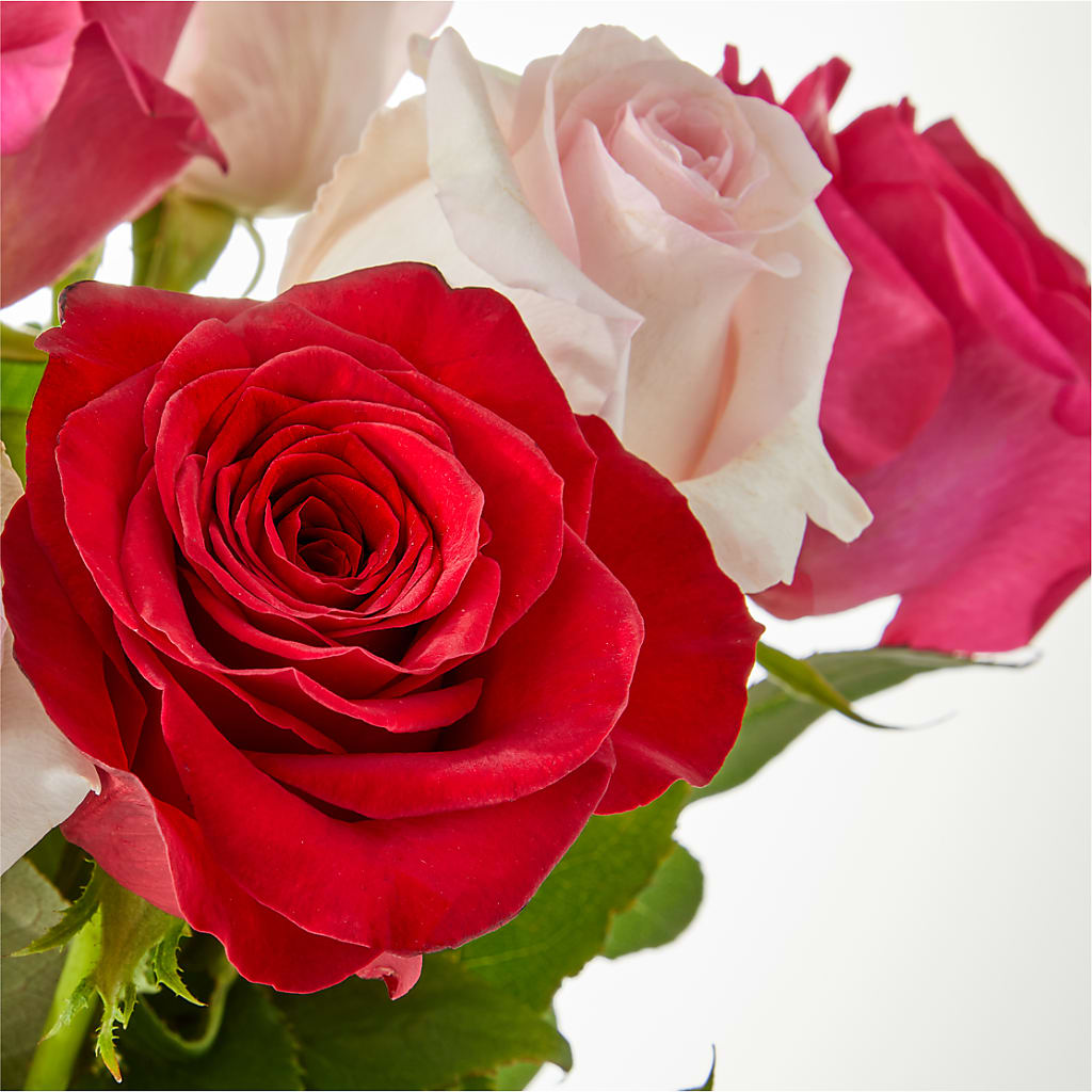 Charming Rose Bouquet –  Royal Flower Shop, Toms River NJ