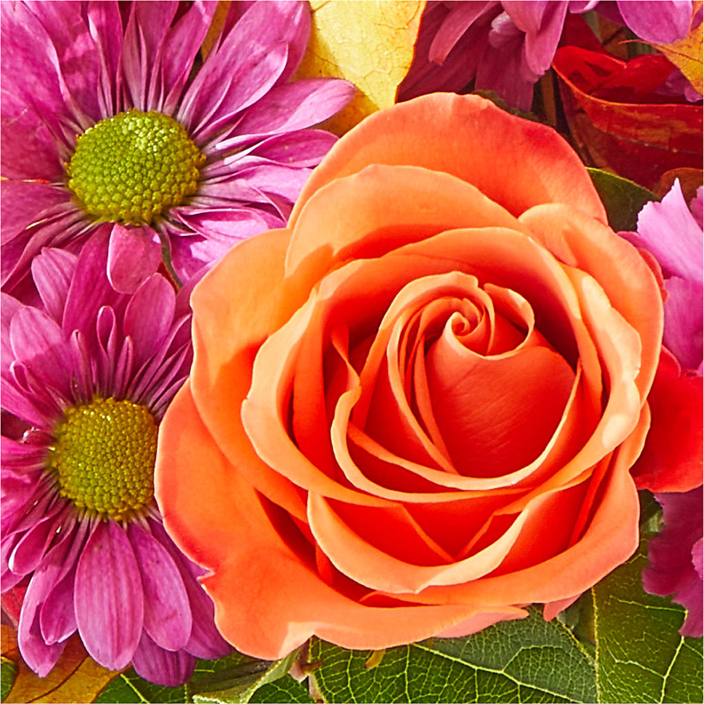 Mum's the Word Bouquet –  Royal Flower Shop, Toms River NJ