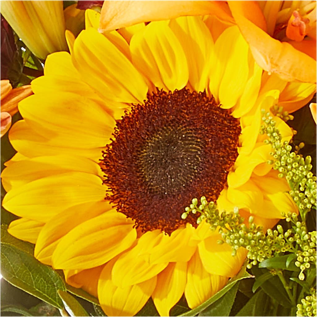 Seasons Change Bouquet –  Royal Flower Shop, Toms River NJ