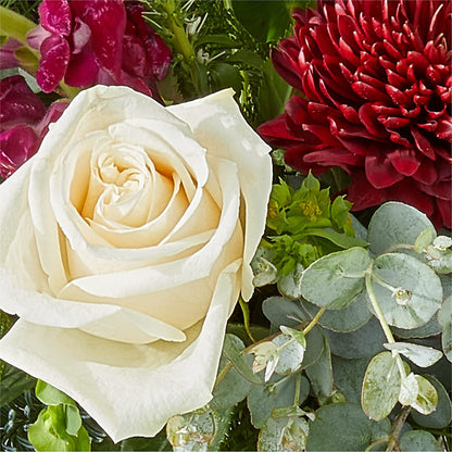 Cranberry Fizz Bouquet –  Royal Flower Shop, Toms River NJ