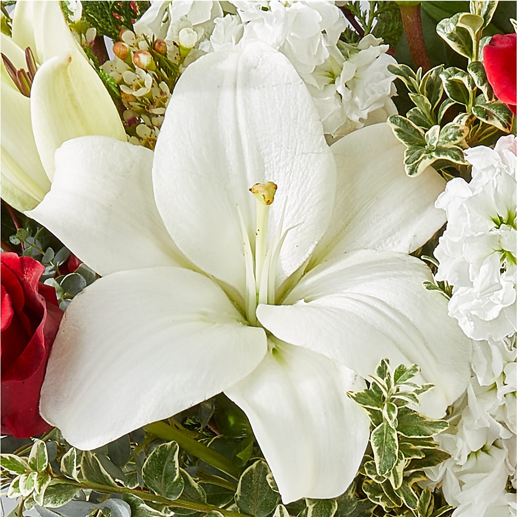 Twinkle Lights Bouquet –  Royal Flower Shop, Toms River NJ