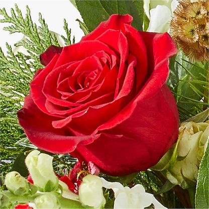 Deck the Halls Bouquet –  Royal Flower Shop, Toms River NJ