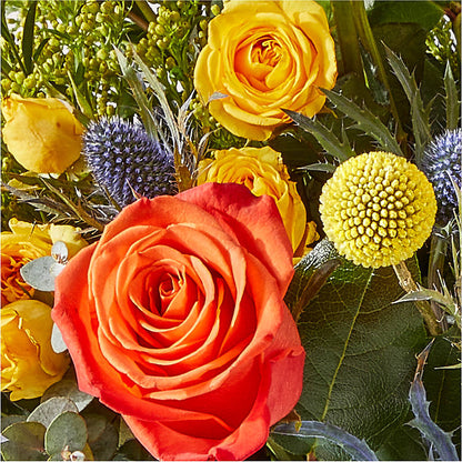 Disco Bouquet –  Royal Flower Shop, Toms River NJ