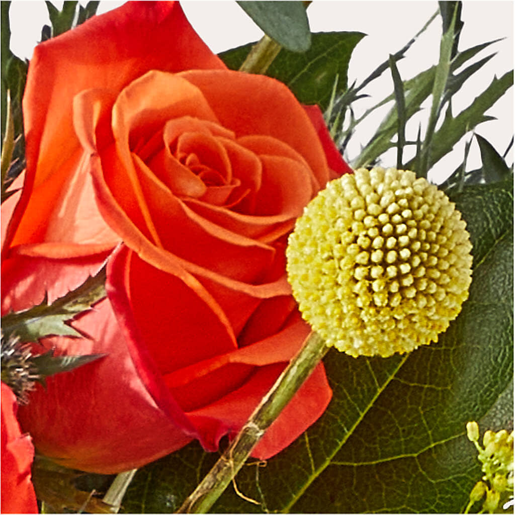 Disco Bouquet –  Royal Flower Shop, Toms River NJ