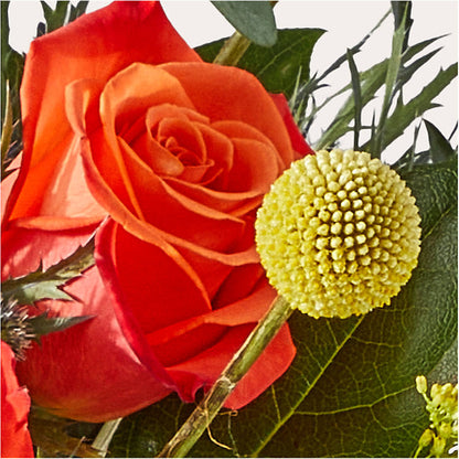 Disco Bouquet –  Royal Flower Shop, Toms River NJ