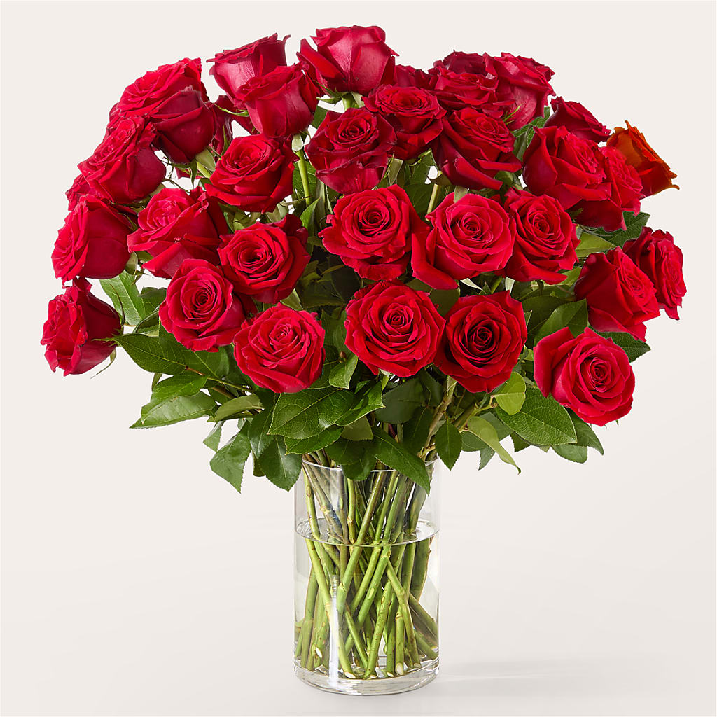 The One Red Rose Bouquet –  Royal Flower Shop, Toms River NJ