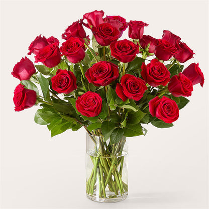 The One Red Rose Bouquet –  Royal Flower Shop, Toms River NJ