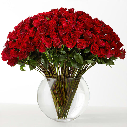 The Idealist –  Royal Flower Shop, Toms River NJ